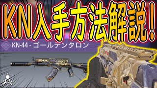【CODモバイル】！音量注意！KN入手後ランクマ行ったらSRにボコボコにされ発狂した