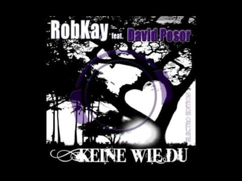 RobKay feat. David Posor - Keine Wie Du (Keiner wie dieser Club Mix) [RIP]