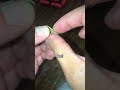 How To Make A Joint Filter Shorts Tutorial