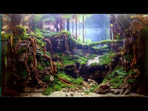 Watch Video on YouTube