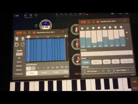 RhythmBud and StepBud sequencing Moog Mother 32