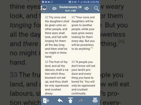 THE CURSES DEUTERONOMY 28:32