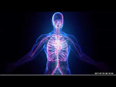 2017 07 23 AM Public Teaching in Vietnamese - Buổi giảng công cộng bằng tiếng Việt