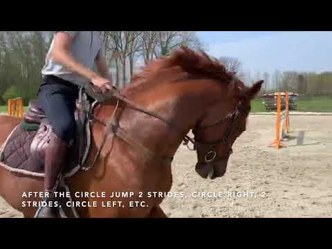 Training @Home with Gilles Thomas 2