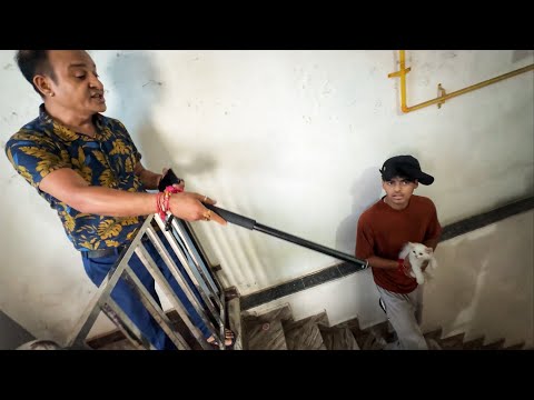 Om Ghar Mein Cat Le Aaya 🫢 Papa Ne Bohut Mara Aur Ghar Se Bahar Nikal Diya 