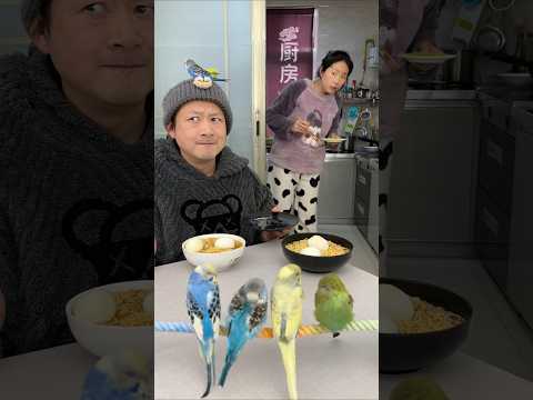 平平淡淡一餐饭😘🥰🥚美食美味