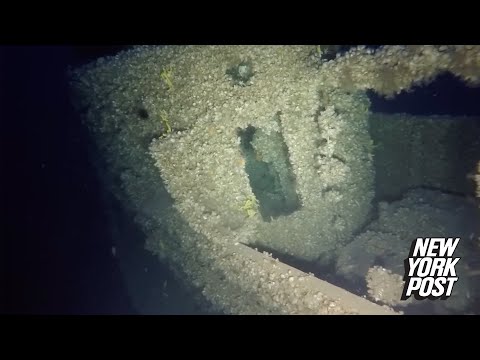 Diver finds HMS Triumph submarine —81 years after it went missing during World War II