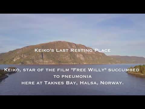 Keiko The Orca’s last resting place