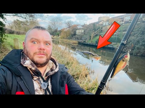 We FOUND the PIKE…..