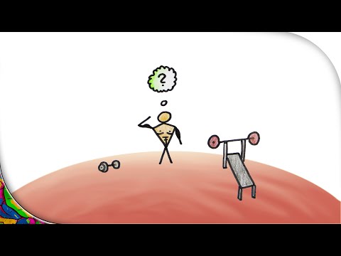 Wie funktioniert ein Muskel?