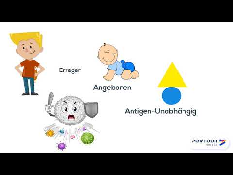 Unspezifische zelluläre Immunabwehr