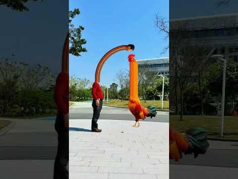 The cockfighter among the folk Internet celebrity cockerel Lao Lin special effect transformation