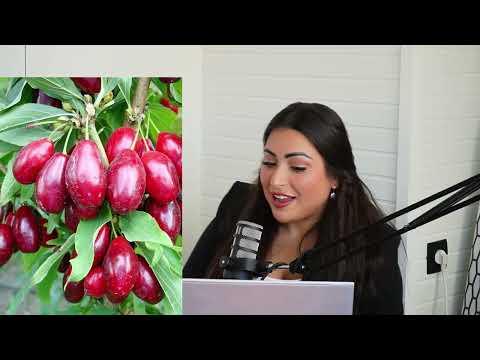 VOLKSTUINEN, PLANTEN & TURKSE GERECHTEN | IK GA LEVEN PODCAST #112