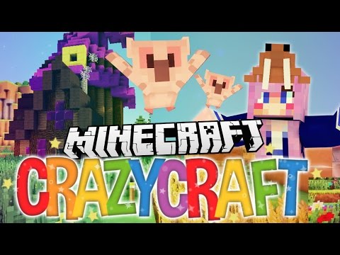 Pet Owls! | Ep 39 | Minecraft Crazy Craft 3.0