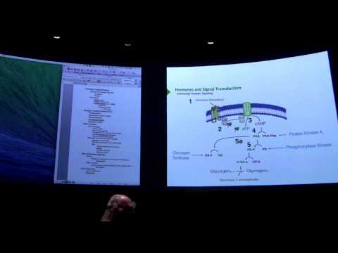 Signaling II - Kevin Ahern's BB 450 Lecture #19 2016