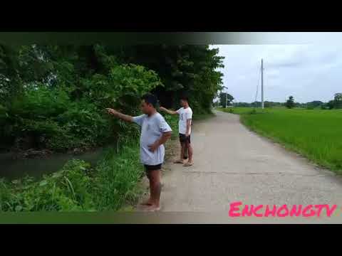 Liw Liw Tokak🐸🐸