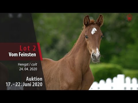 02 Vom Feinsten Hengst v. Vivino - Fürstenball