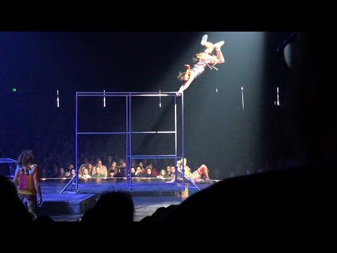 Fui Parar no Backstage do Cirque du Soleil - Conversa com Brasileiro ex-ginasta membro do time