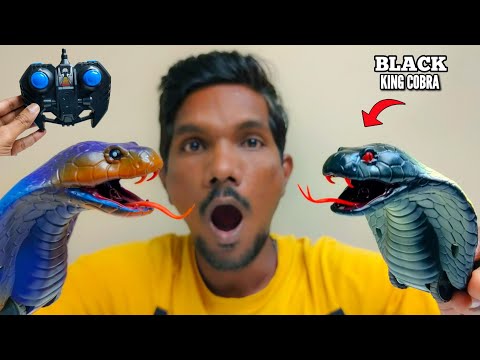 RC Realistic Chameleon Vs Naja King Cobra Unboxing & testing - Chatpat toy tv
