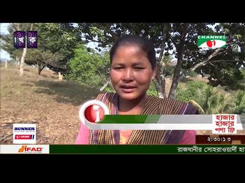 খাগড়াছড়িতে কমলার বাগান