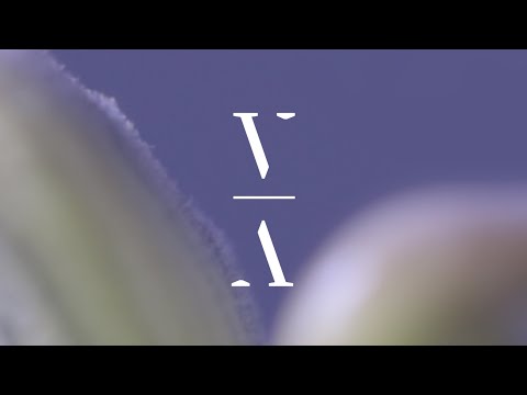 Skyknock & Bridges - Something To Someone