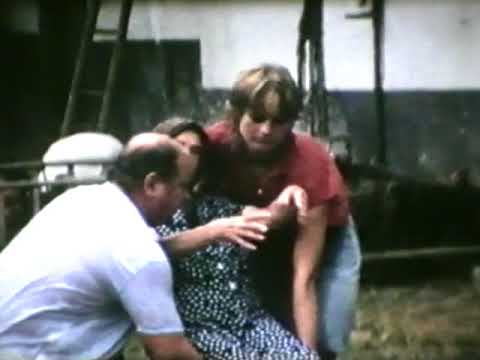 Trošku slunce, sena a jahod