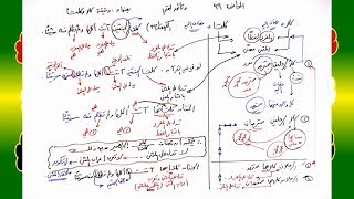 صورة 99 √ وثيقة كلا وكلتا