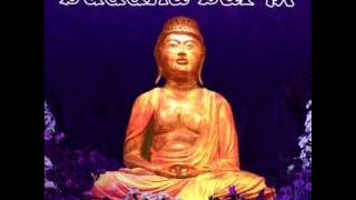 Buddha Bar IX - Africa - Cirque du Soleil.hany elsudany