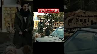 俺が助ける #映画レビュー #映画紹介 #fypシ