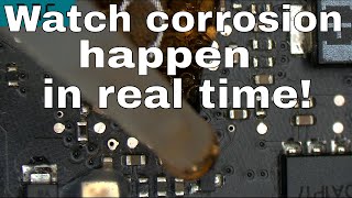 How fast will Coca Cola corrode a Macbook logic board?