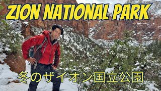冬のザイオン国立公園ハイキング！生まれて初めて見る凍った滝と野生の鹿だらけの大自然