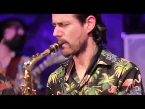REPTILIAN MAMBO #4   -  Live at Jamboree, Barcelona