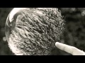 Pacific! - Narcissus (Alan Braxe Remix) 