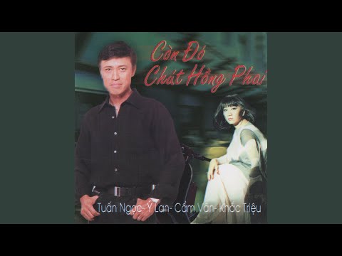 Dòng sông không trở lại - Cẩm Vân