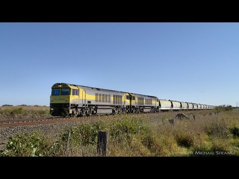 QUBE Grain Train 7764V With QBX Class Locomotives - PoathTV Australian Rail Freight Transport