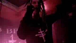 The Cruxshadows : Dragonfly