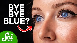 Are Blue Eyes Endangered?