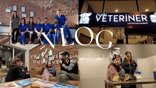 𝘝𝘭𝘰𝘎 | Veteriner Kliniğinde 1 Hafta | PulseVet Veteriner Kliniği