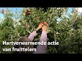 75.000 kilo fruit plotseling beschikbaar voor voedselbanken die het keihard nodig hebben