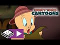 Looney Tunes Cartoons  Skattejagt Boomerang Danmark