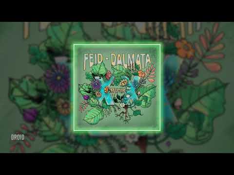 feid & dalmata - xx (𝒓𝒆𝒎𝒊𝒙) [𝒔𝒍𝒐𝒘𝒆𝒅 + 𝒓𝒆𝒗𝒆𝒓𝒃]