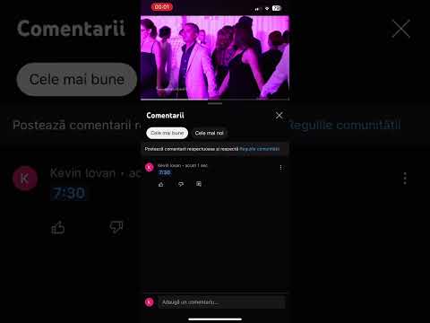 Ramona vita eu câți bani am câștigat (cover)