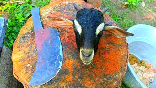 Full Goat Head Cutting Skill & HEAD skin Removing / Professional Mutton Cutter / CT 360*🔪