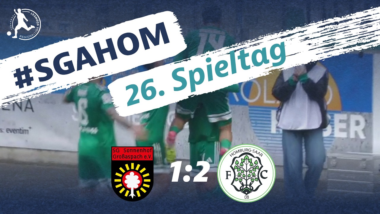 SG Sonnenhof Großaspach vs 08 Homburg Highlights