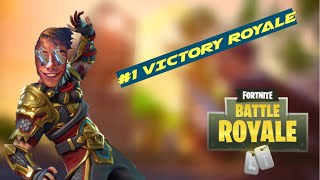 No L&#39;s Taken Fortnite: Battle Royale! (EPIC)