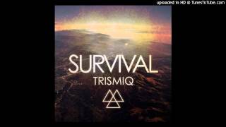 Trismiq - Survival (Original Mix)