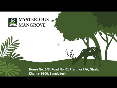 Mangrove Conservation & Restoration in Bangladesh