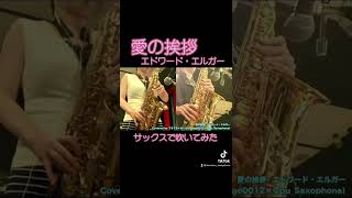 Download lagu 【SAXガチ吹き】どクラシック！エルガーの愛の挨拶 mp3