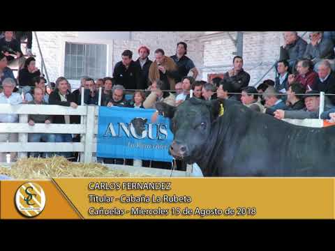 15-08-18 Nota Carlos Fernandez - Titular - Cabaña La Rubeta e Invitados - Cañuelas