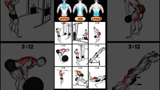 Download lagu Top 9 Back Exercises to Build Strength and Size in the Gym #workout #backexercise mp3